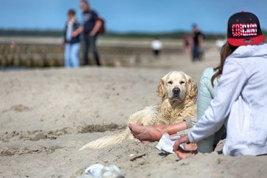 Ihre Unterkunft für den Urlaub mit Hund in Prerow