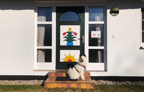 Hunde sind hier Willkommen